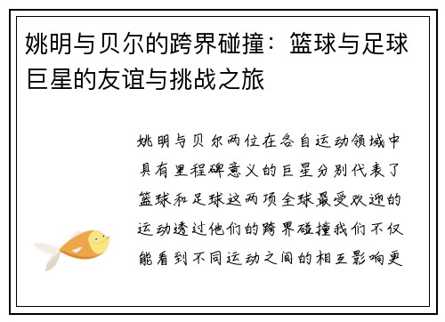 姚明与贝尔的跨界碰撞：篮球与足球巨星的友谊与挑战之旅